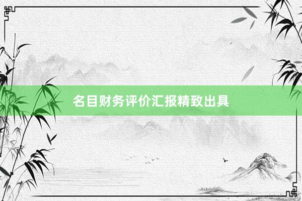 名目财务评价汇报精致出具