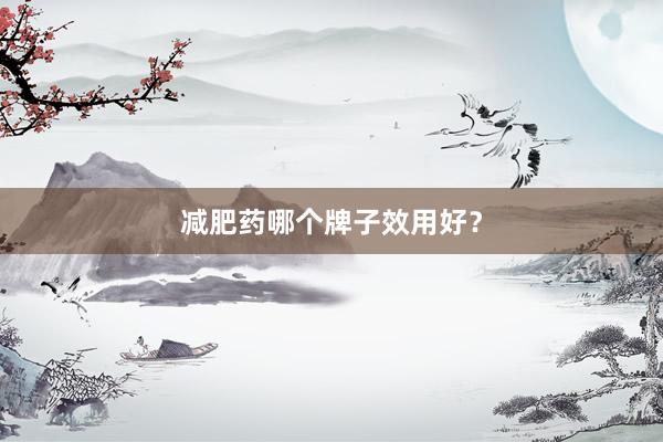 减肥药哪个牌子效用好？
